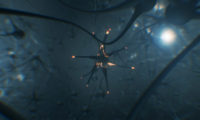 大脑神经组织三维医学模型动画