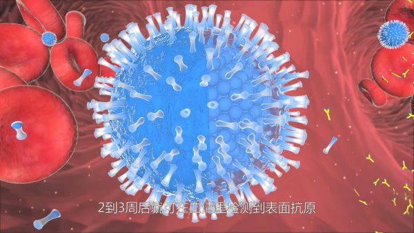 医学三维动画细胞立体图